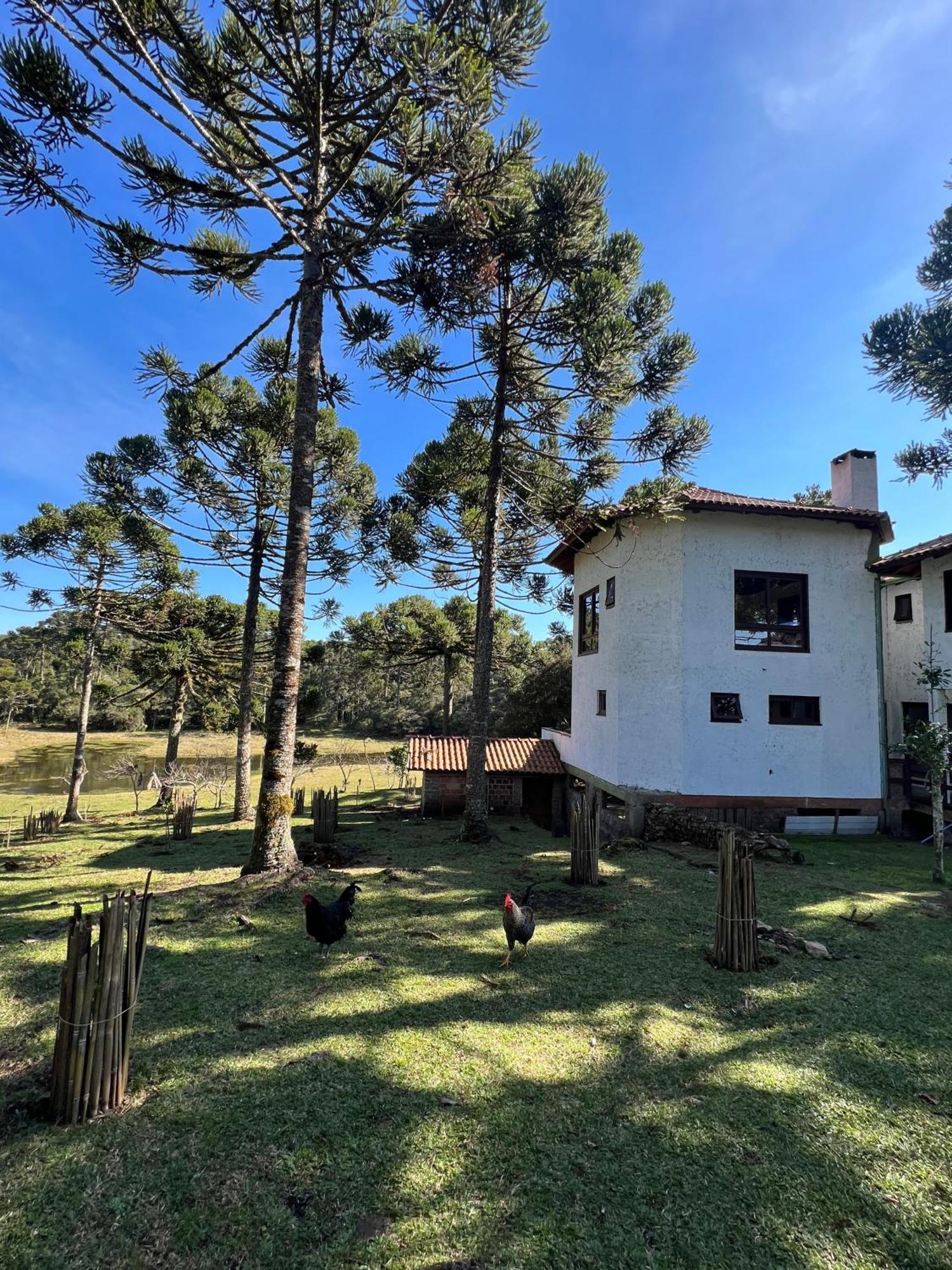 Rodeio Das Lagoas * Cambará